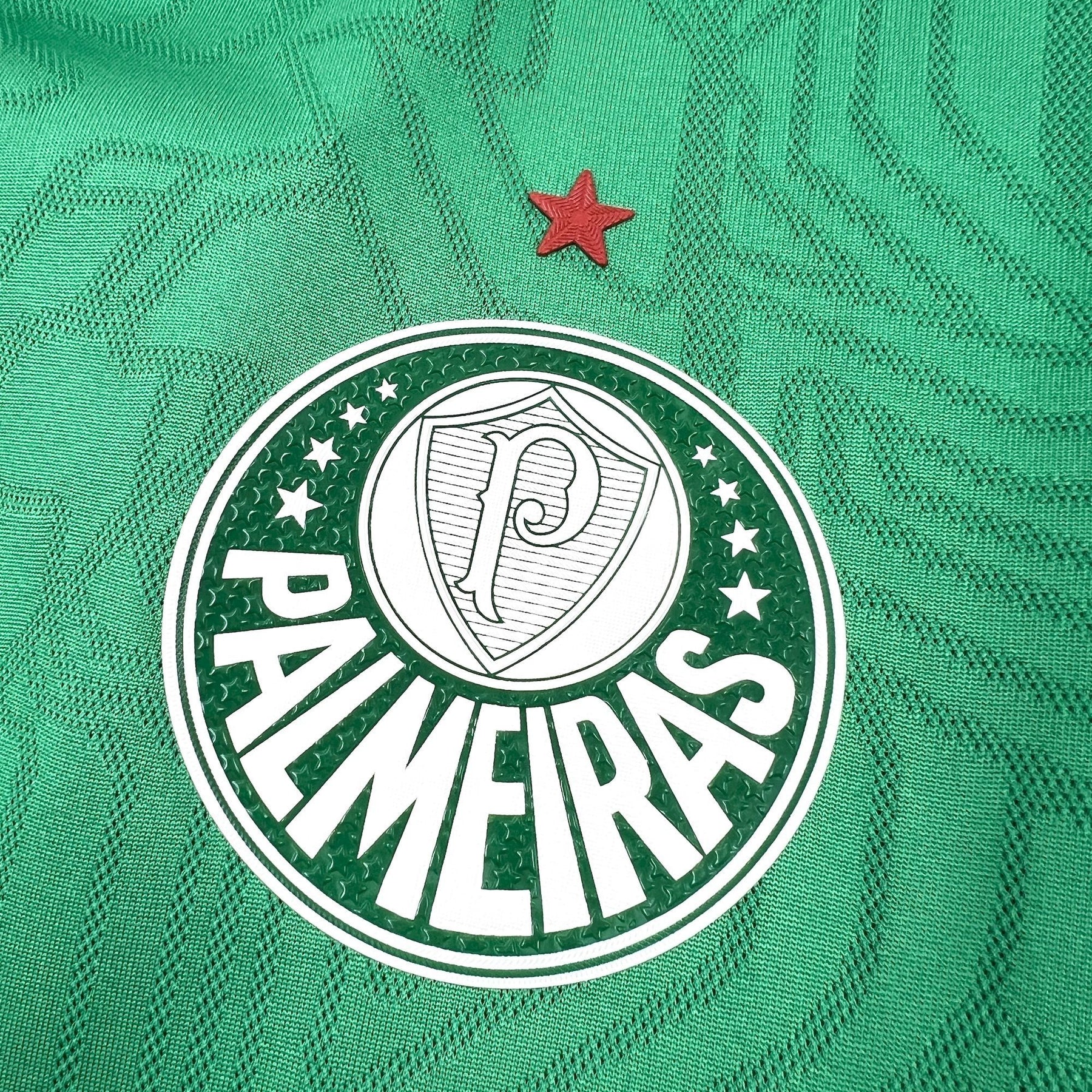Camisa Palmeiras Treino 25/26 Puma Torcedor