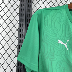 Camisa Palmeiras Treino 25/26 Puma Torcedor