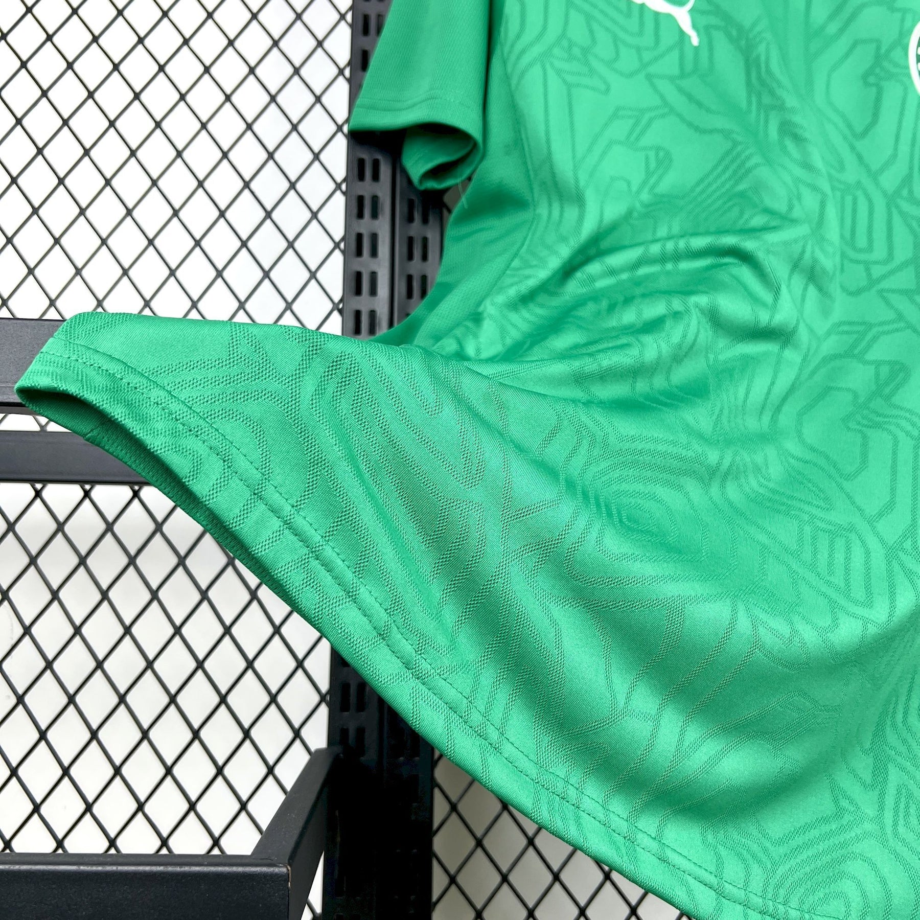 Camisa Palmeiras Treino 25/26 Puma Torcedor