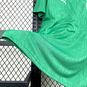 Camisa Palmeiras Treino 25/26 Puma Torcedor