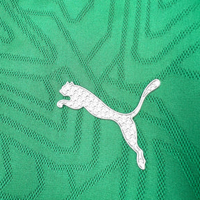 Camisa Palmeiras Treino 25/26 Puma Torcedor